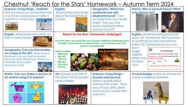 Reach for the stars homework Autumn 24