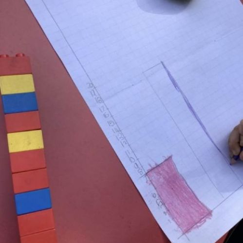 Measuring Sunflowers